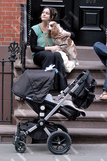 Hippo hanging out from the stroller is a present from the LovelyLivTyler.com community!