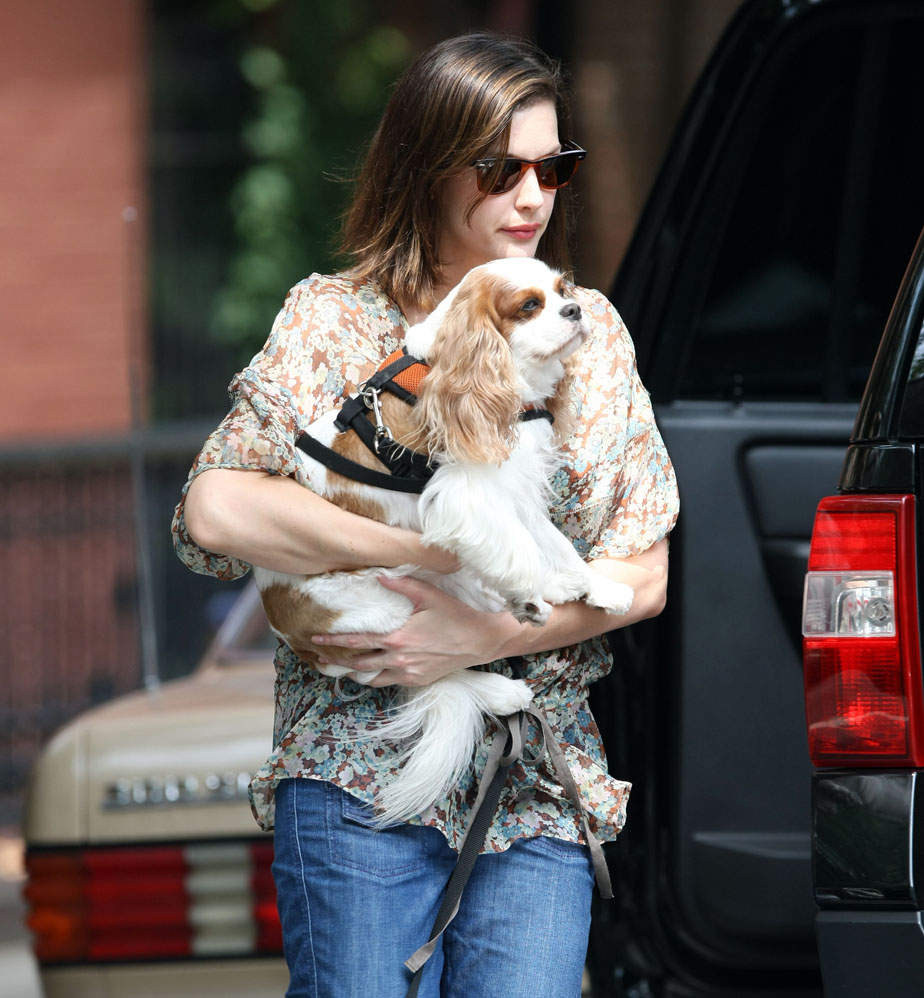 with Neal the dog