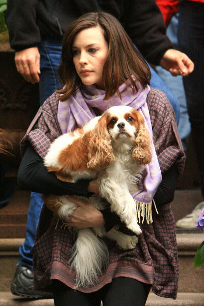 with Neal the dog