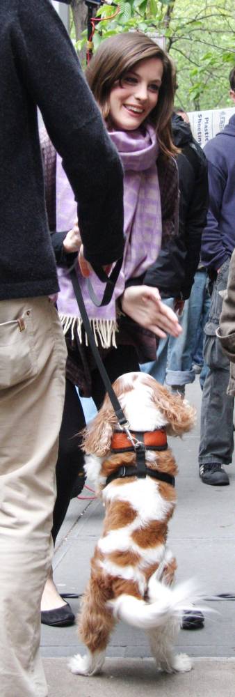 with Neal the dog