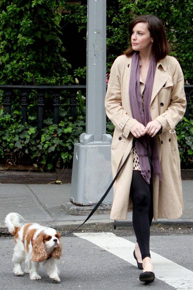 with Neal the dog