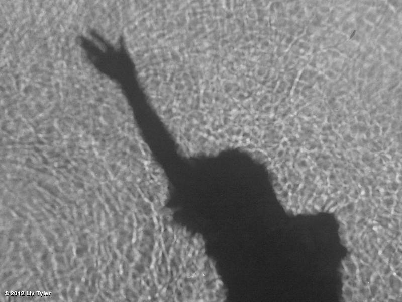 Goodbye Summer [Source]