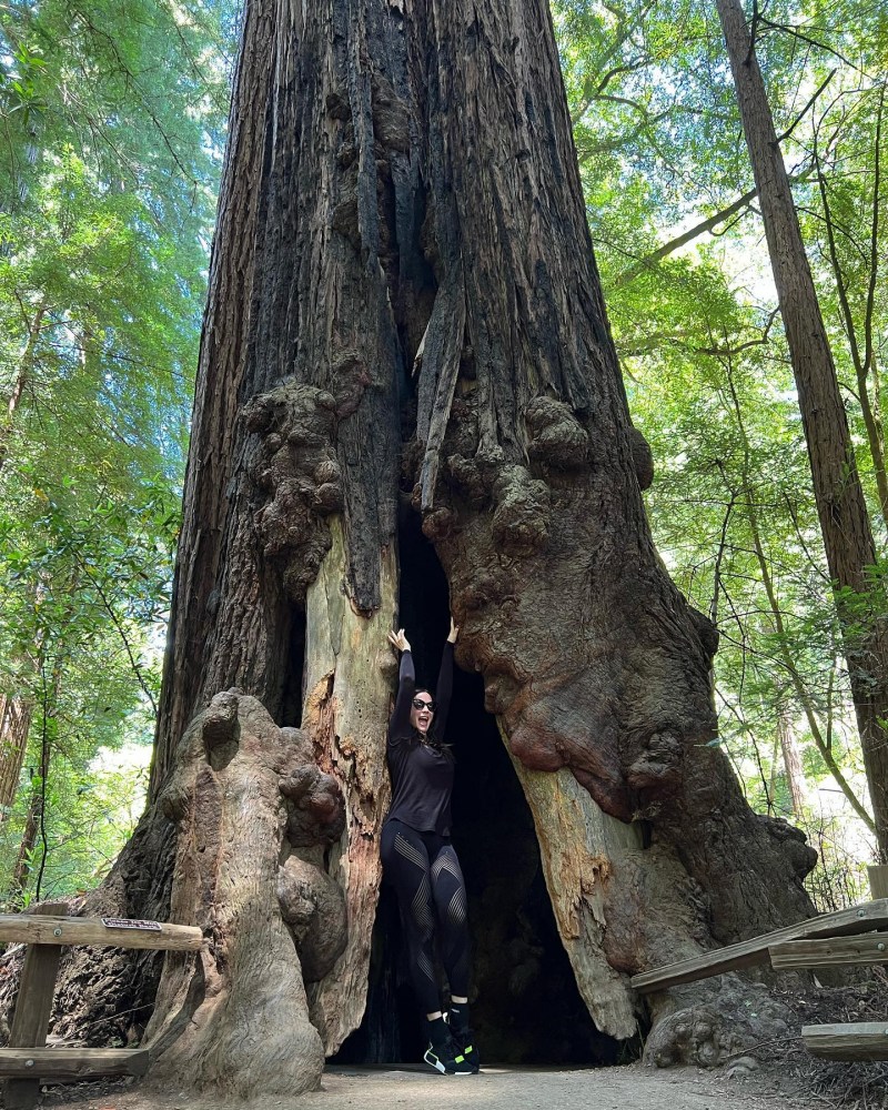 "Birthday with the big trees"