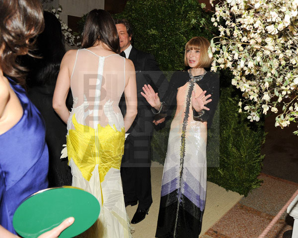 with Anna Wintour