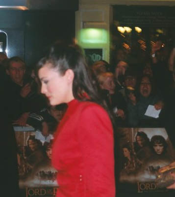 The Fellowship Of The Ring Premiere