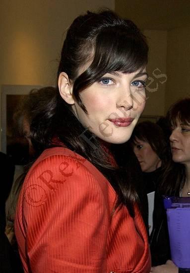 The Fellowship Of The Ring Premiere