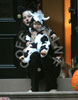 with cow-boy Milo